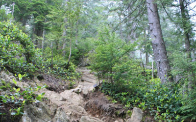 Snow Limousine for Grouse Mountain | Kavanagh Limousine